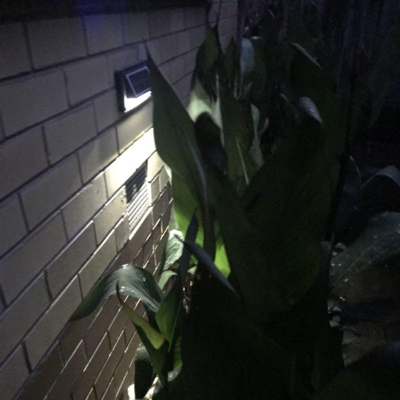 solar-step-lights www.mallsonline.com.au