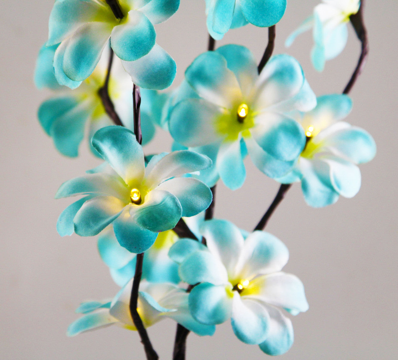 1-set-of-50cm-h-20-led-blue-frangipani-tree-branch-stem-fairy-light-wedding-event-party-function-table-vase-centrepiece-tropical-decoration at www.mallsonline.com.au