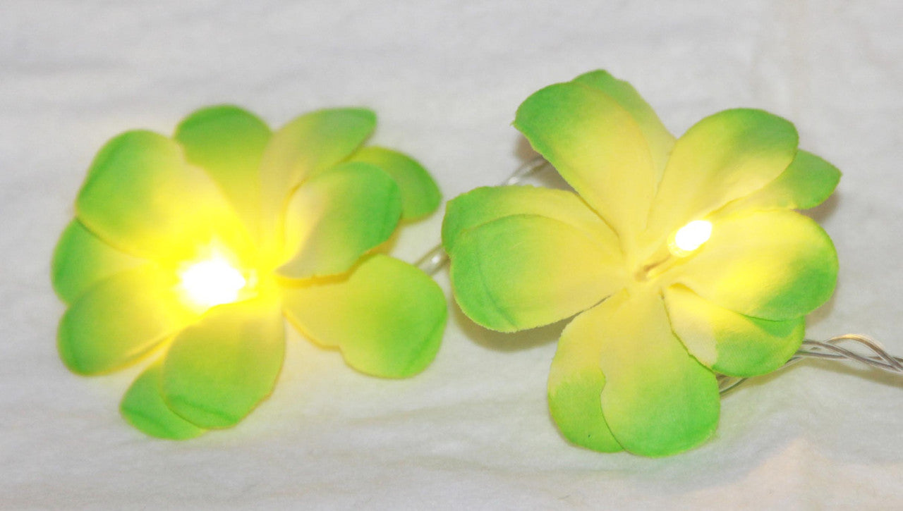 1-set-of-20-led-green-frangipani-flower-battery-string-lights-christmas-gift-home-wedding-party-decoration-outdoor-table-garland-wreath at www.mallsonline.com.au