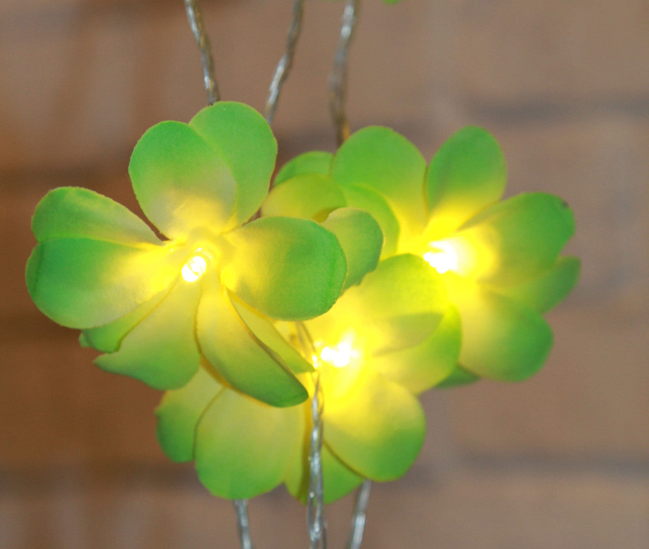 1-set-of-20-led-green-frangipani-flower-battery-string-lights-christmas-gift-home-wedding-party-decoration-outdoor-table-garland-wreath at www.mallsonline.com.au