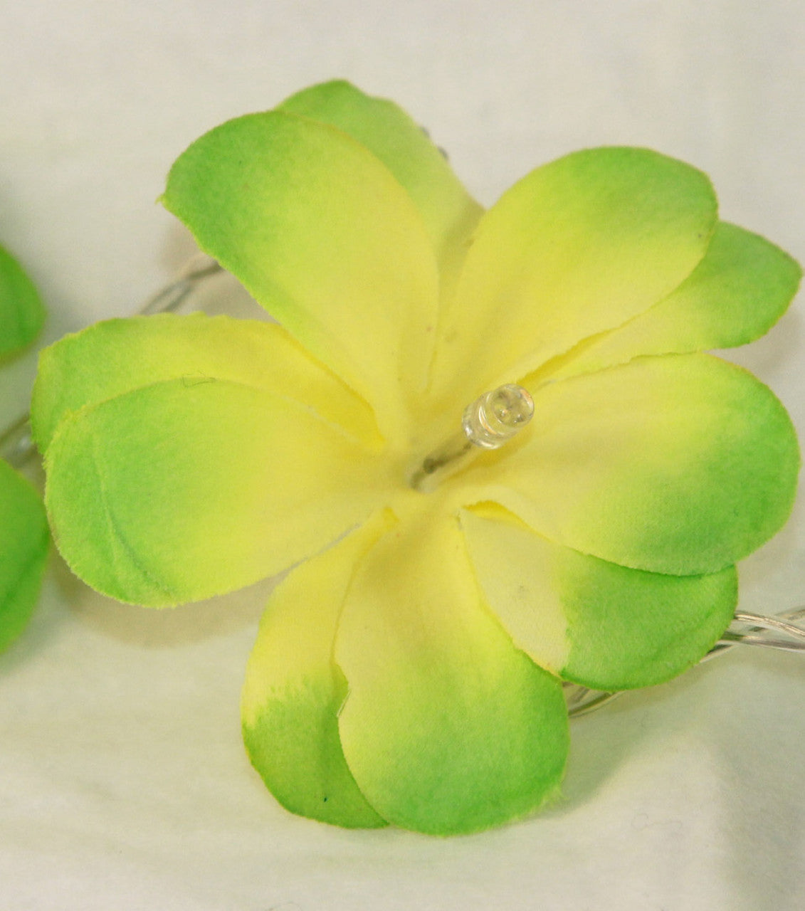 1-set-of-20-led-green-frangipani-flower-battery-string-lights-christmas-gift-home-wedding-party-decoration-outdoor-table-garland-wreath at www.mallsonline.com.au