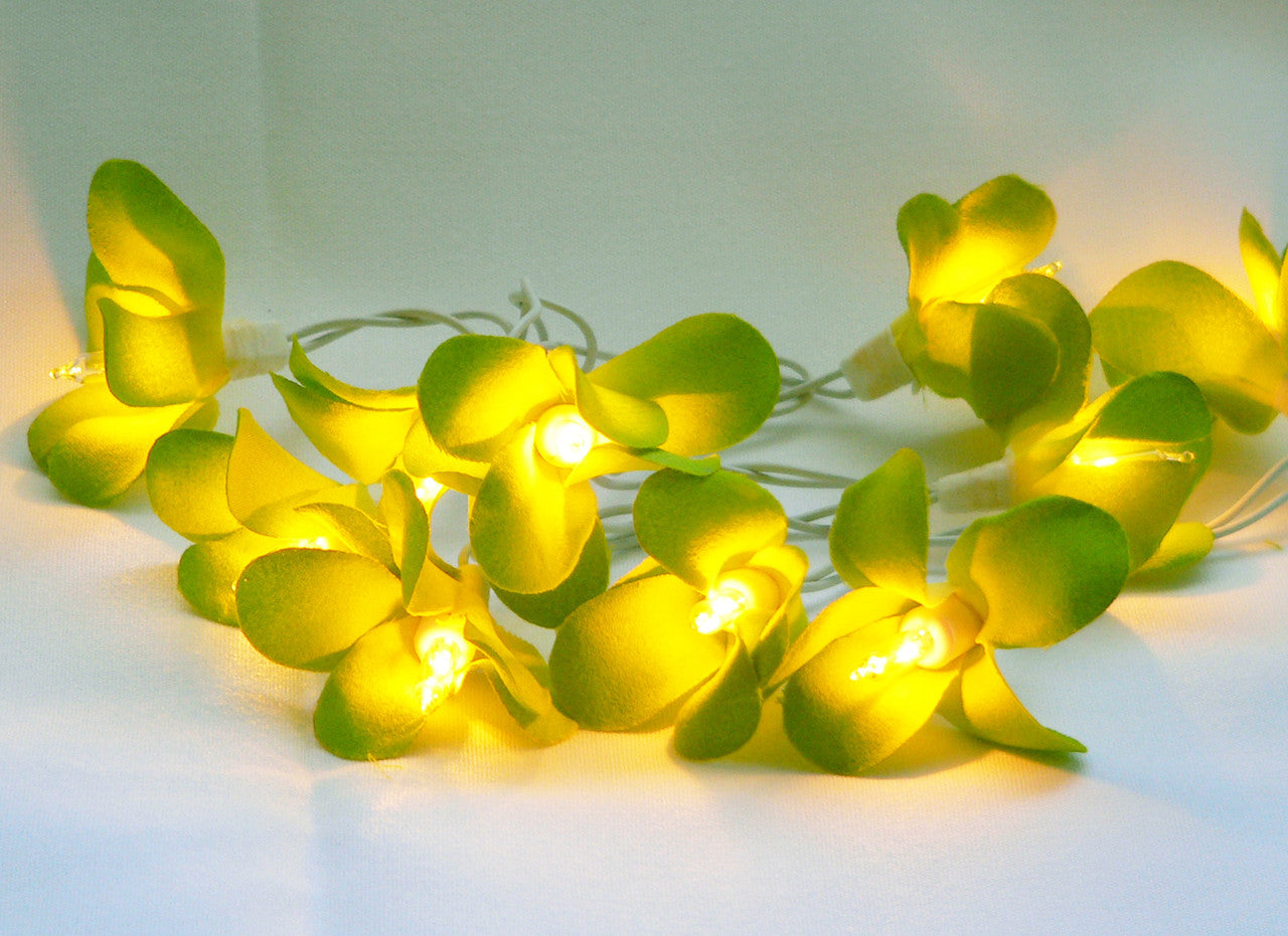 1-set-of-20-led-green-frangipani-flower-battery-string-lights-christmas-gift-home-wedding-party-decoration-outdoor-table-garland-wreath at www.mallsonline.com.au
