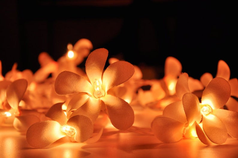 1-set-of-20-led-orange-frangipani-flower-battery-string-lights-christmas-gift-home-wedding-party-decoration-outdoor-table-garland-wreath www.mallsonline.com.au