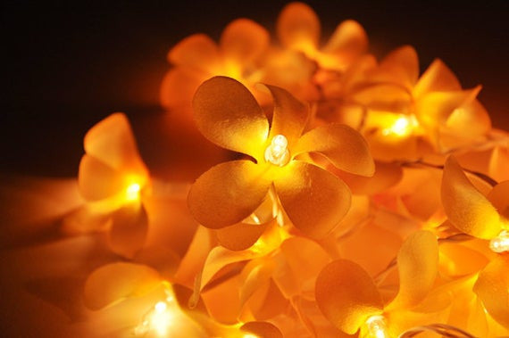 1-set-of-20-led-orange-frangipani-flower-battery-string-lights-christmas-gift-home-wedding-party-decoration-outdoor-table-garland-wreath www.mallsonline.com.au