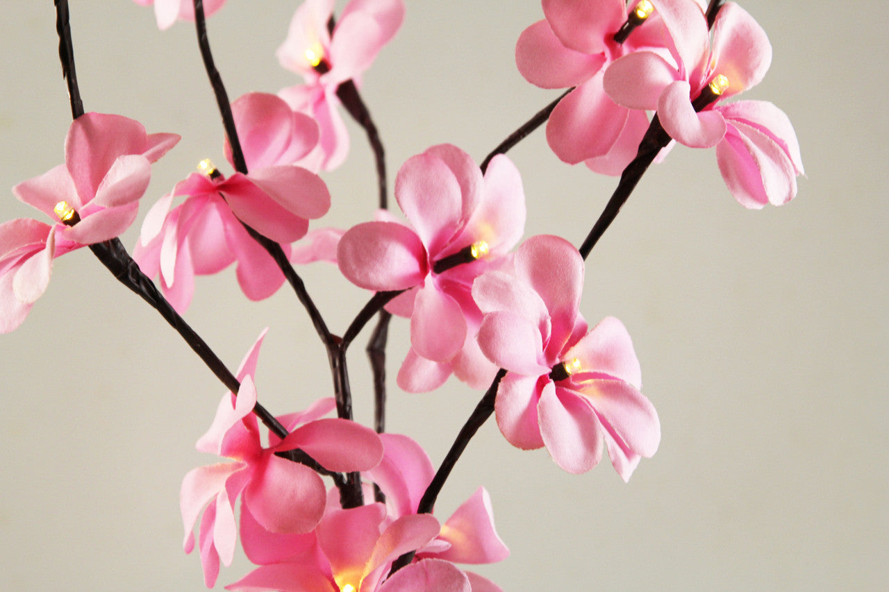 1-set-of-50cm-h-20-led-pink-frangipani-tree-branch-stem-fairy-light-wedding-event-party-function-table-vase-centrepiece-decoration-girl-bedroom www.mallsonline.com.au