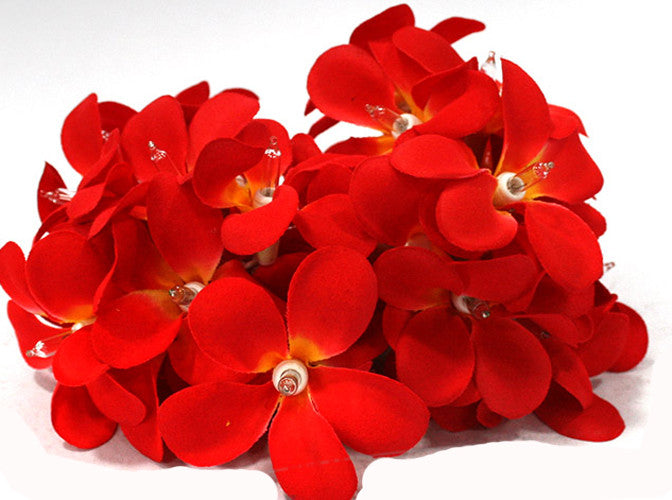 1-set-of-20-led-deep-red-frangipani-flower-battery-string-lights-christmas-gift-home-wedding-party-decoration-outdoor-table-garland-wreath www.mallsonline.com.au