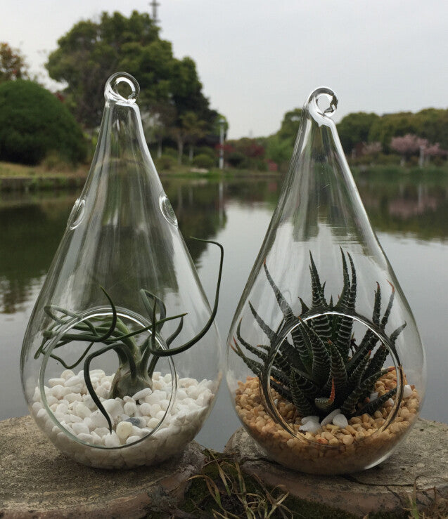 4-pack-of-hanging-clear-glass-tealight-candle-holder-tear-drop-pear-hour-glass-shape-20cm-high-terrarium-plant-mini-garden-holder-d-cor-craft-gift www.mallsonline.com.au