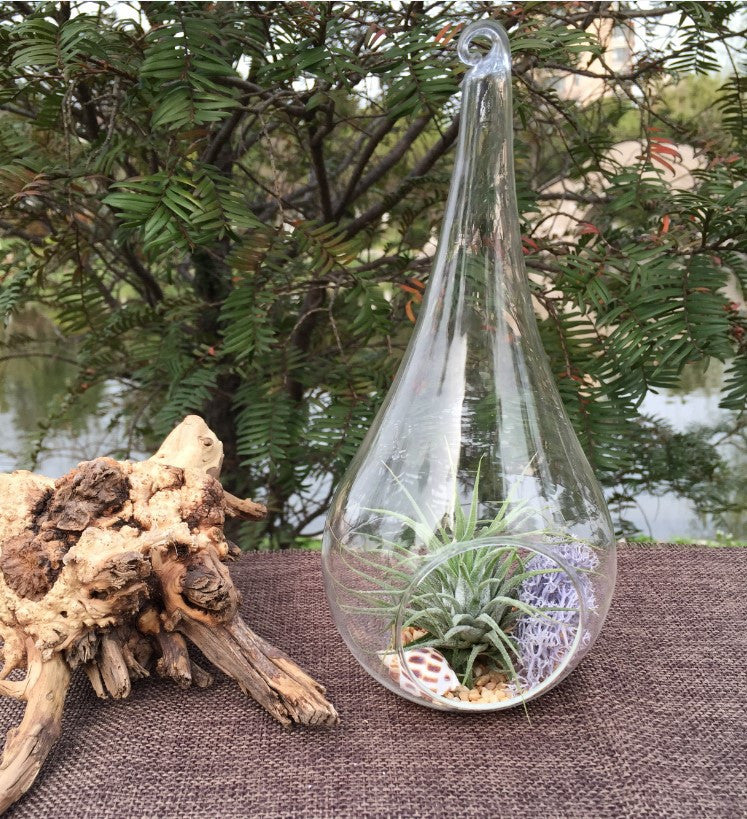 4-pack-of-hanging-clear-glass-tealight-candle-holder-tear-drop-pear-shape-12cm-high-terrarium-plant-mini-garden-holder-decor www.mallsonline.com.au