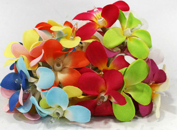 1-set-of-20-led-tropical-bright-colous-frangipani-flower-battery-string-lights-christmas-gift-home-wedding-party-decoration-outdoor-table-centrepiece at www.mallsonline.com.au