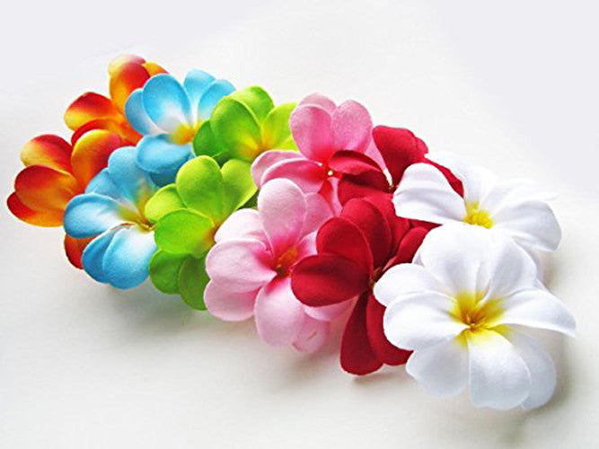 1-set-of-20-led-tropical-bright-colous-frangipani-flower-battery-string-lights-christmas-gift-home-wedding-party-decoration-outdoor-table-centrepiece at www.mallsonline.com.au