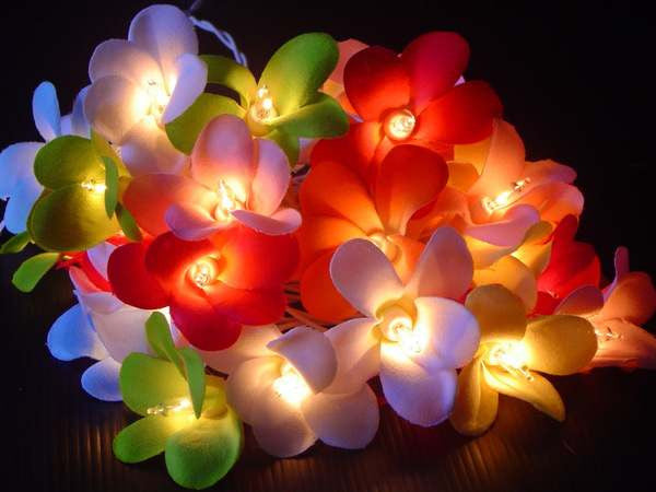 1-set-of-20-led-tropical-bright-colous-frangipani-flower-battery-string-lights-christmas-gift-home-wedding-party-decoration-outdoor-table-centrepiece at www.mallsonline.com.au