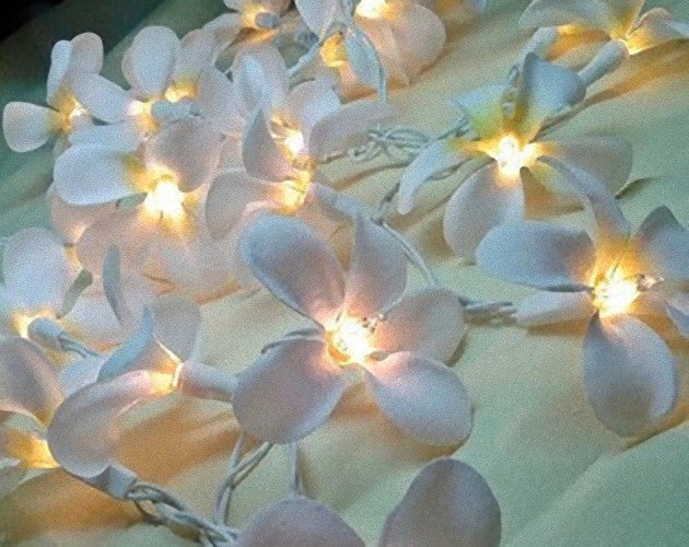 1-set-of-20-led-white-frangipani-flower-battery-string-lights-christmas-gift-home-wedding-beach-party-decoration-outdoor-table-centrepiece www.mallsonline.com.au