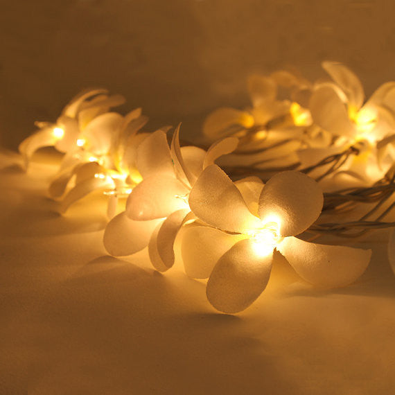 1-set-of-20-led-white-frangipani-flower-battery-string-lights-christmas-gift-home-wedding-beach-party-decoration-outdoor-table-centrepiece www.mallsonline.com.au