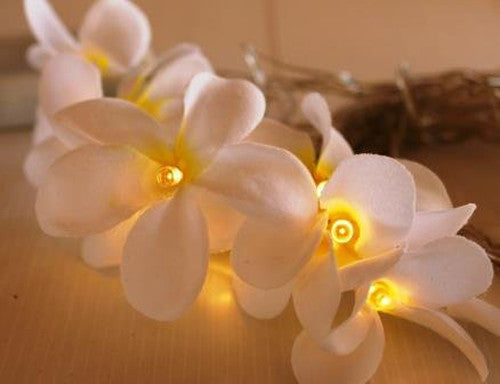 1-set-of-20-led-white-frangipani-flower-battery-string-lights-christmas-gift-home-wedding-beach-party-decoration-outdoor-table-centrepiece www.mallsonline.com.au