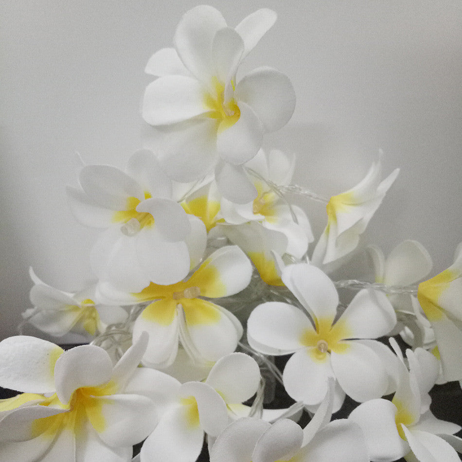 1-set-of-20-led-white-frangipani-flower-battery-string-lights-christmas-gift-home-wedding-beach-party-decoration-outdoor-table-centrepiece www.mallsonline.com.au