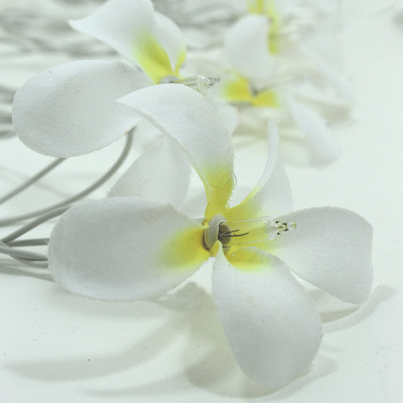 1-set-of-20-led-white-frangipani-flower-battery-string-lights-christmas-gift-home-wedding-beach-party-decoration-outdoor-table-centrepiece www.mallsonline.com.au