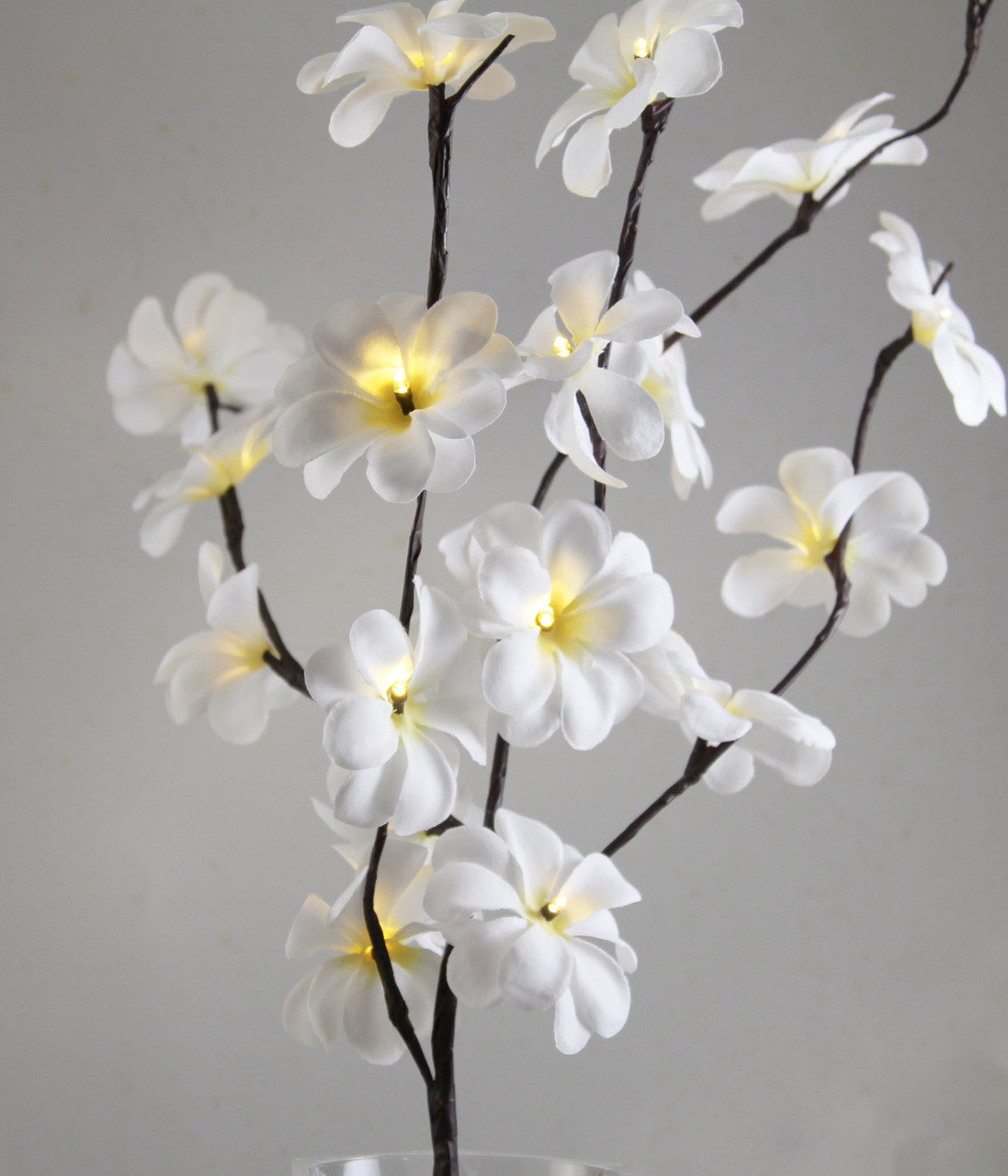 1-set-of-50cm-h-20-led-white-frangipani-tree-branch-stem-fairy-light-wedding-event-party-function-table-vase-centrepiece-decoration www.mallsonline.com.au