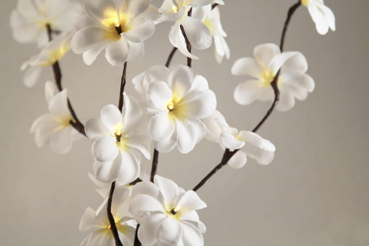 1-set-of-50cm-h-20-led-white-frangipani-tree-branch-stem-fairy-light-wedding-event-party-function-table-vase-centrepiece-decoration www.mallsonline.com.au