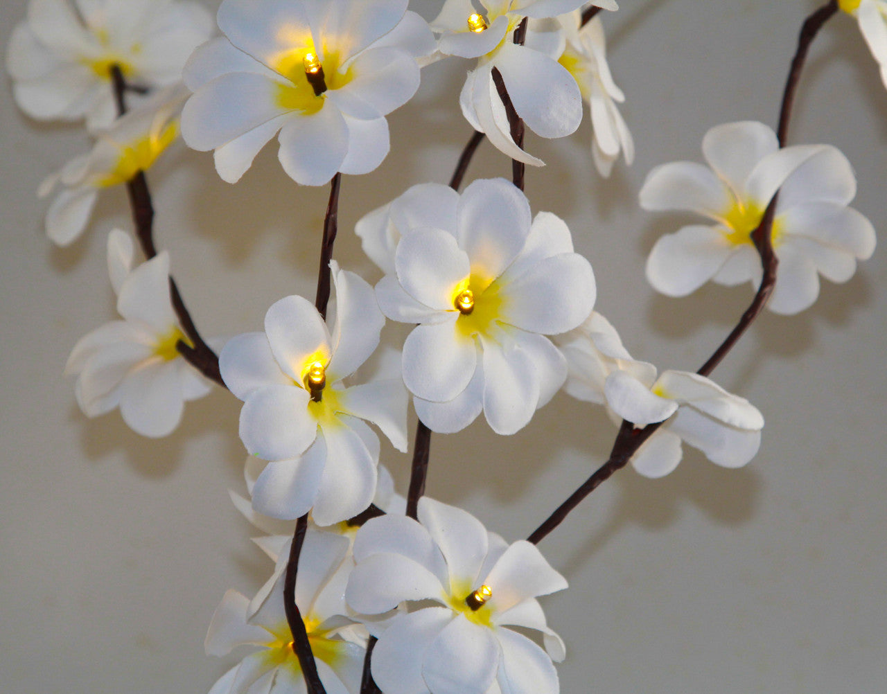 1-set-of-50cm-h-20-led-white-frangipani-tree-branch-stem-fairy-light-wedding-event-party-function-table-vase-centrepiece-decoration www.mallsonline.com.au