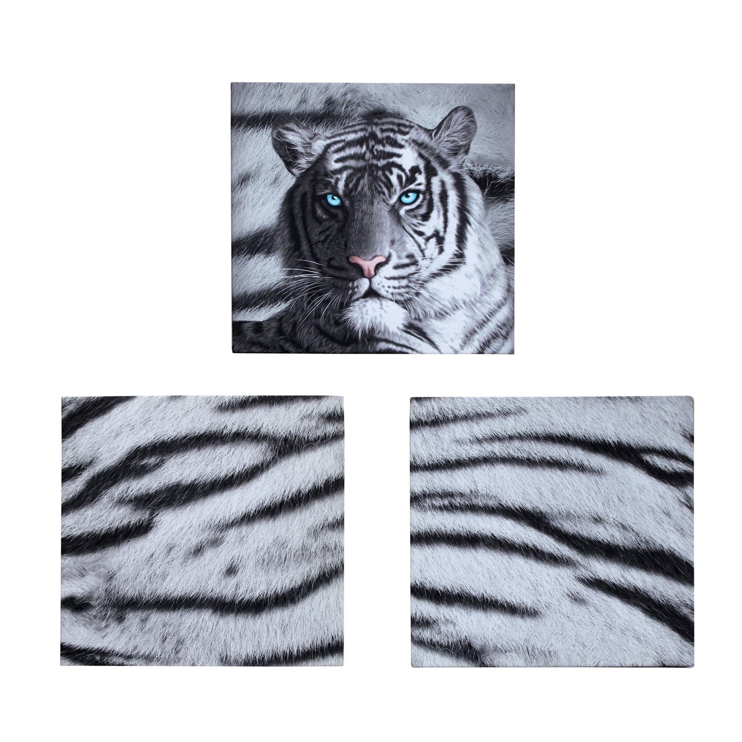 just-home-set-of-3-printed-blue-eyes-stripes-tiger-wall-canvas www.mallsonline.com.au