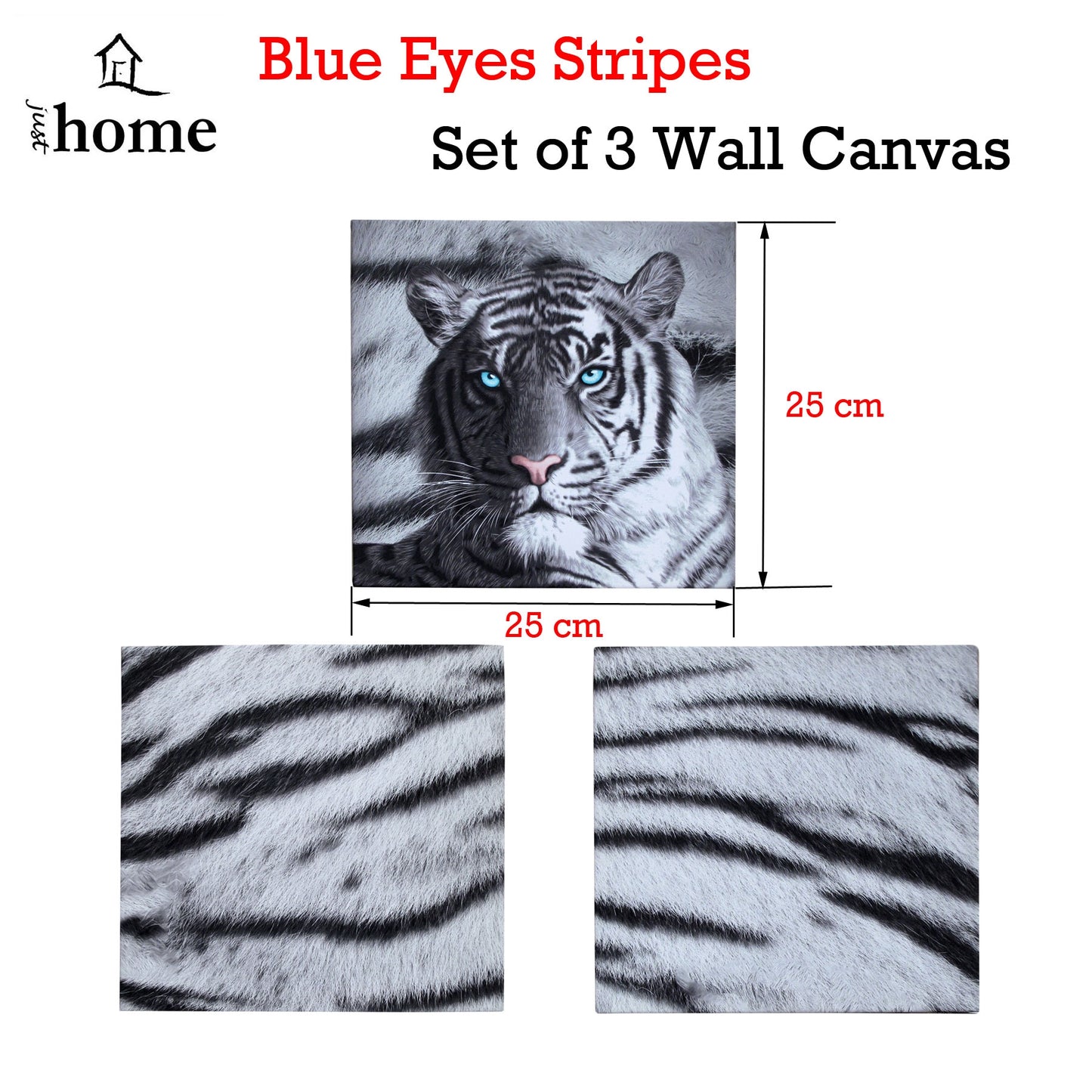 just-home-set-of-3-printed-blue-eyes-stripes-tiger-wall-canvas www.mallsonline.com.au