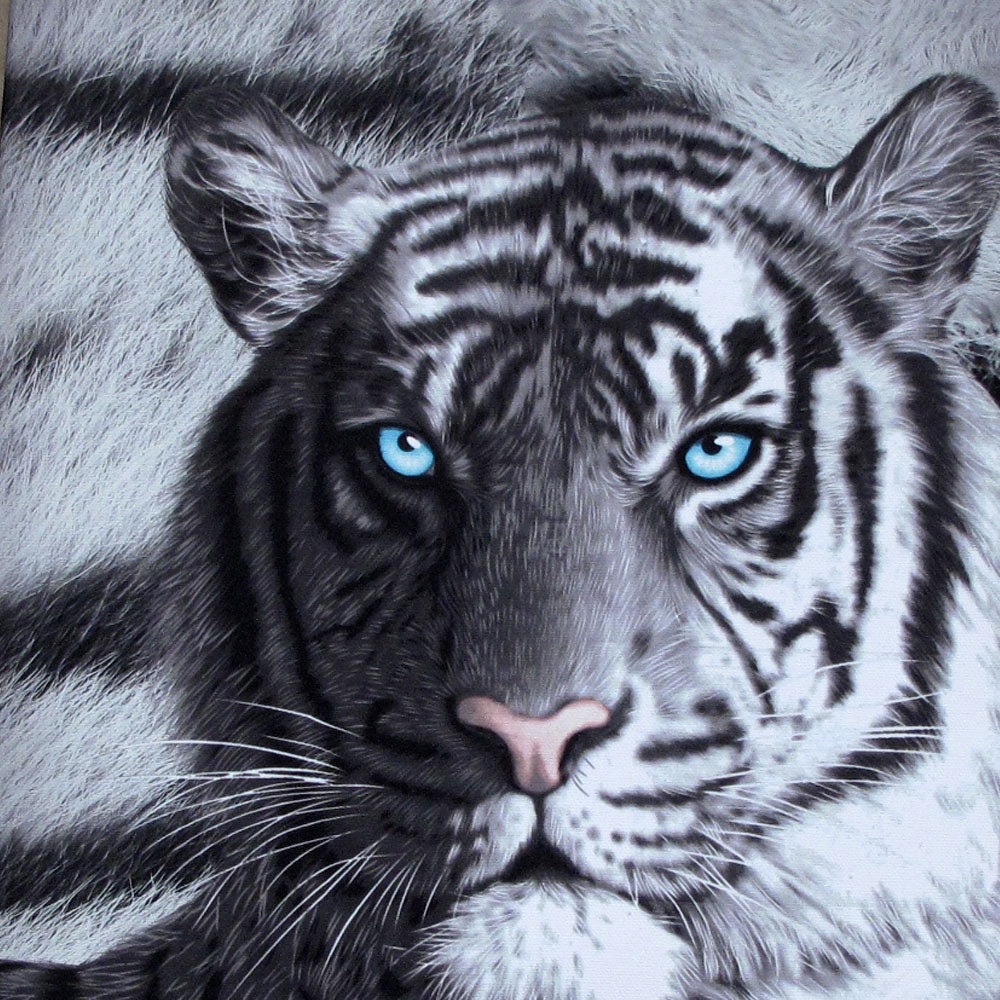 just-home-set-of-3-printed-blue-eyes-stripes-tiger-wall-canvas www.mallsonline.com.au