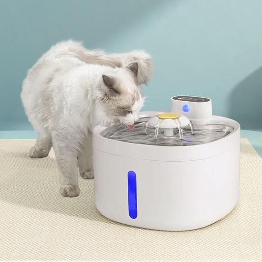 i-pet-pet-water-fountain-feeder-dispenser-filter-dog-cat-drinking-automatic-2-6l at www.mallsonline.com.au