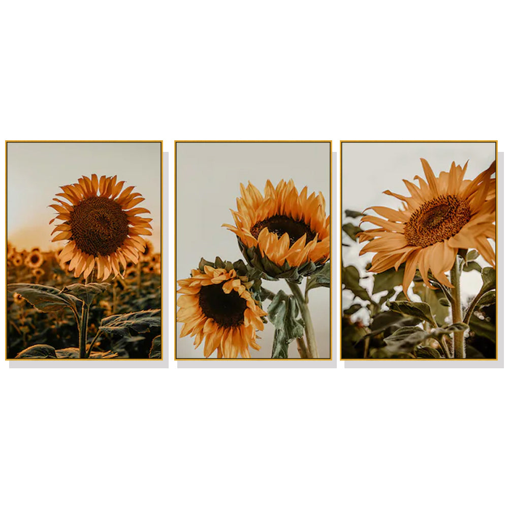 Wall Art 40cmx60cm Sunflower 3 Sets Gold Frame Canvas