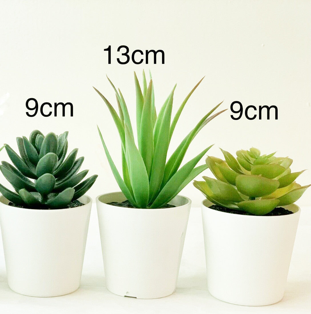 5 Pack of Artificial Succulent Potted Plants in White Plastic 6cm Pot Interior Decoration