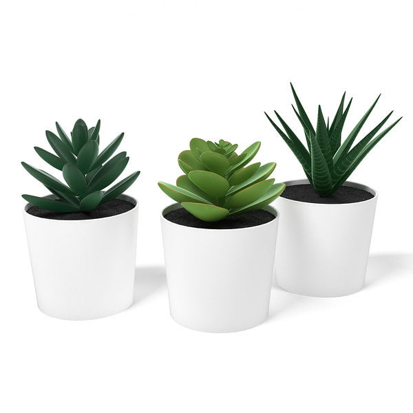 7 Pack of Artificial Succulent Potted Plants in White Plastic 6cm Pot Interior Decoration