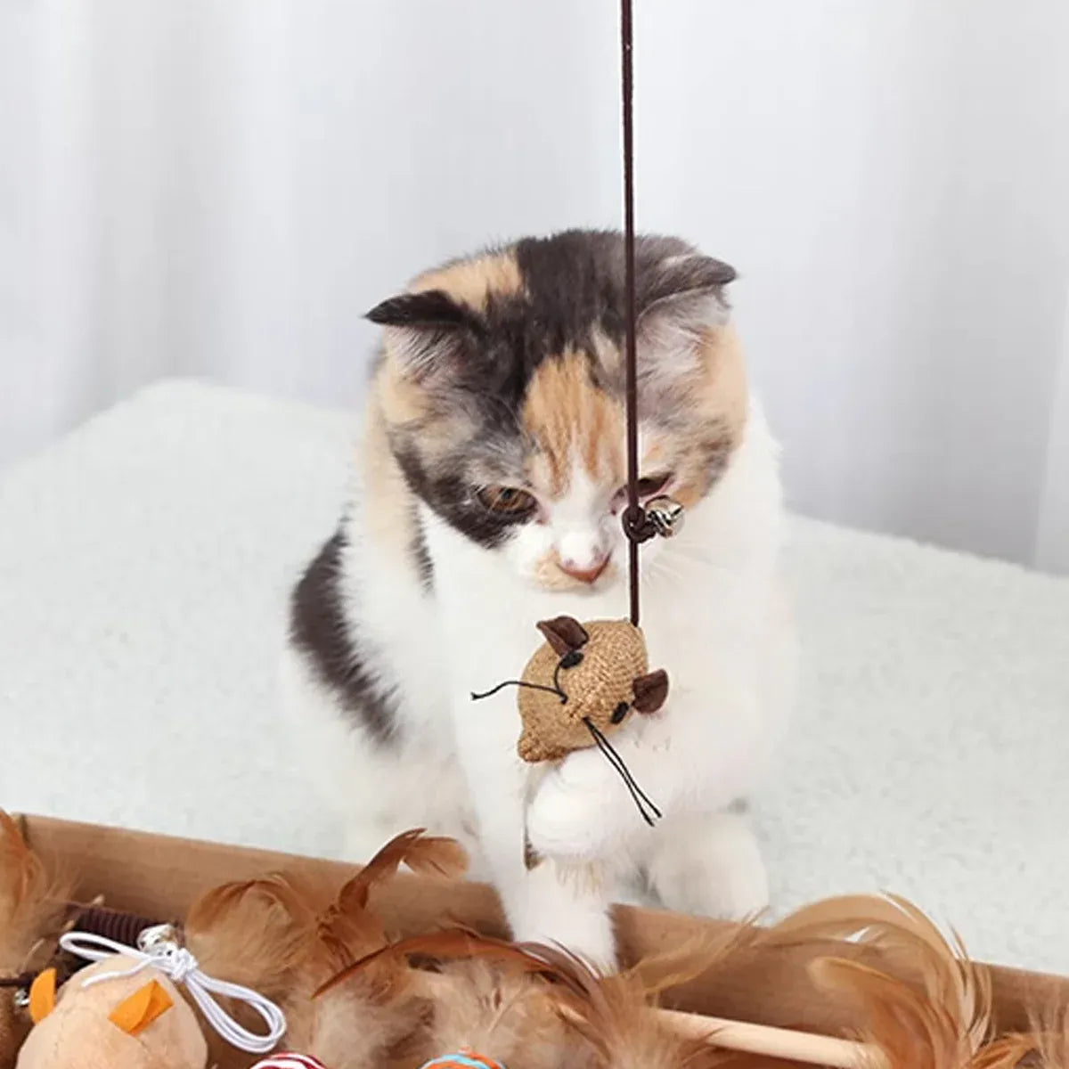 Cat Toys Set 7PCS Interactive Kitten Toys Durable for Indoor Cats Kittens Use