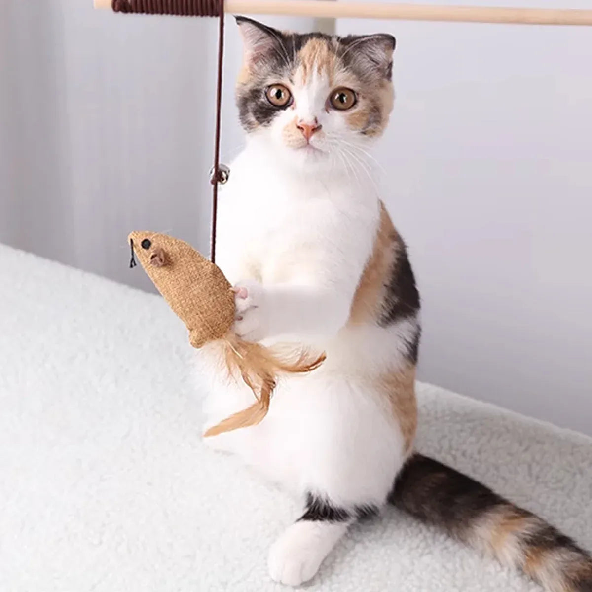 Cat Toys Set 7PCS Interactive Kitten Toys Durable for Indoor Cats Kittens Use
