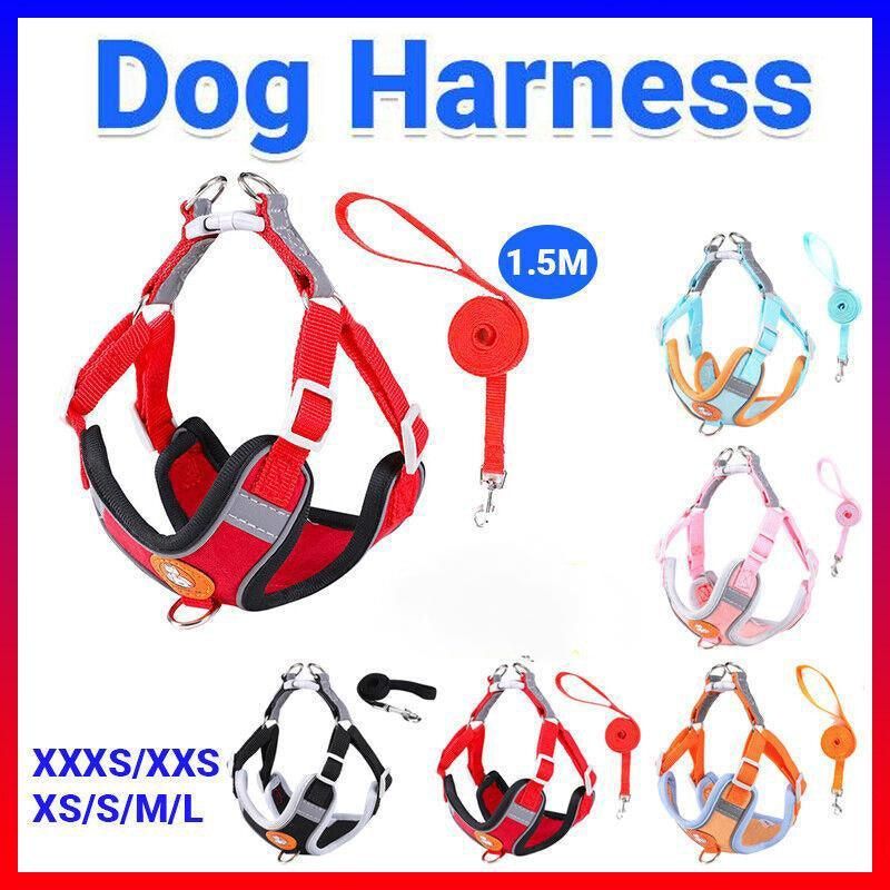 Dog Harness Cat Lead Puppy Leash Vest Mesh Breathe Adjustable Braces Small Pet Orange - L