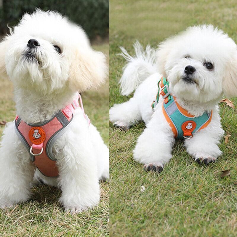 Dog Harness Cat Lead Puppy Leash Vest Mesh Breathe Adjustable Braces Small Pet Orange - L