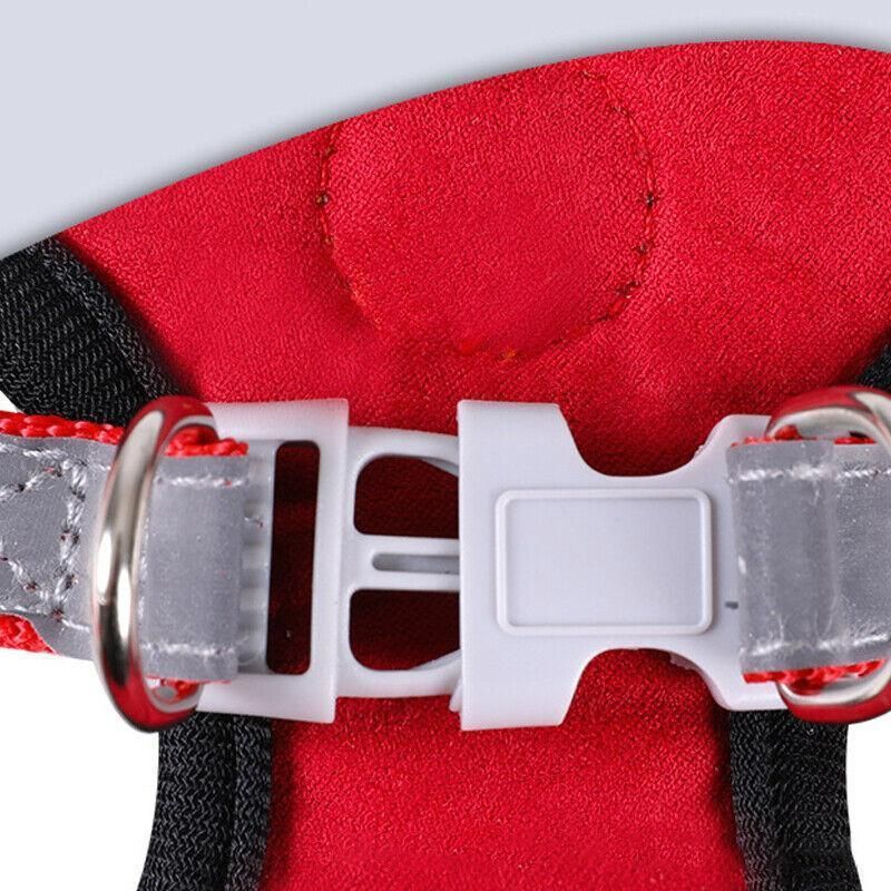 Dog Harness Cat Lead Puppy Leash Vest Mesh Breathe Adjustable Braces Small Pet Orange - L