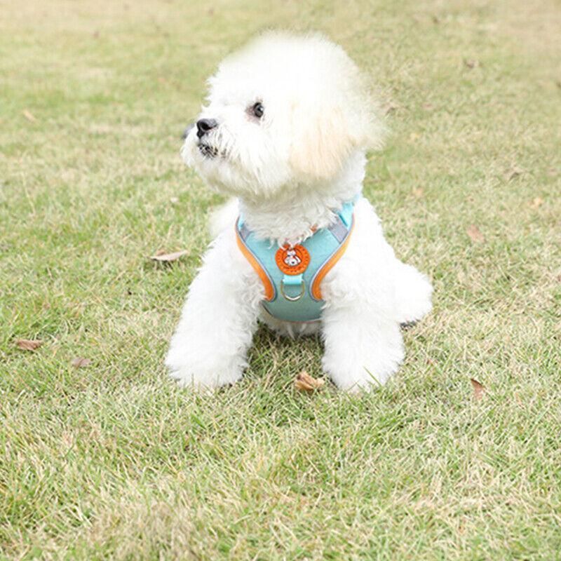 Dog Harness Cat Lead Puppy Leash Vest Mesh Breathe Adjustable Braces Small Pet Orange - L