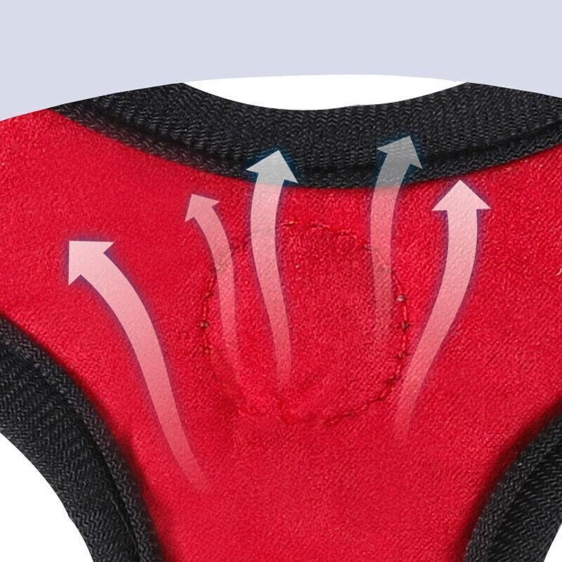 Dog Harness Cat Lead Puppy Leash Vest Mesh Breathe Adjustable Braces Small Pet Orange - L