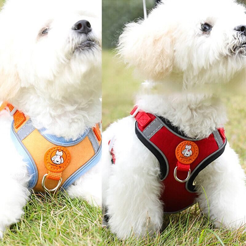 Dog Harness Cat Lead Puppy Leash Vest Mesh Breathe Adjustable Braces Small Pet Orange - XXS