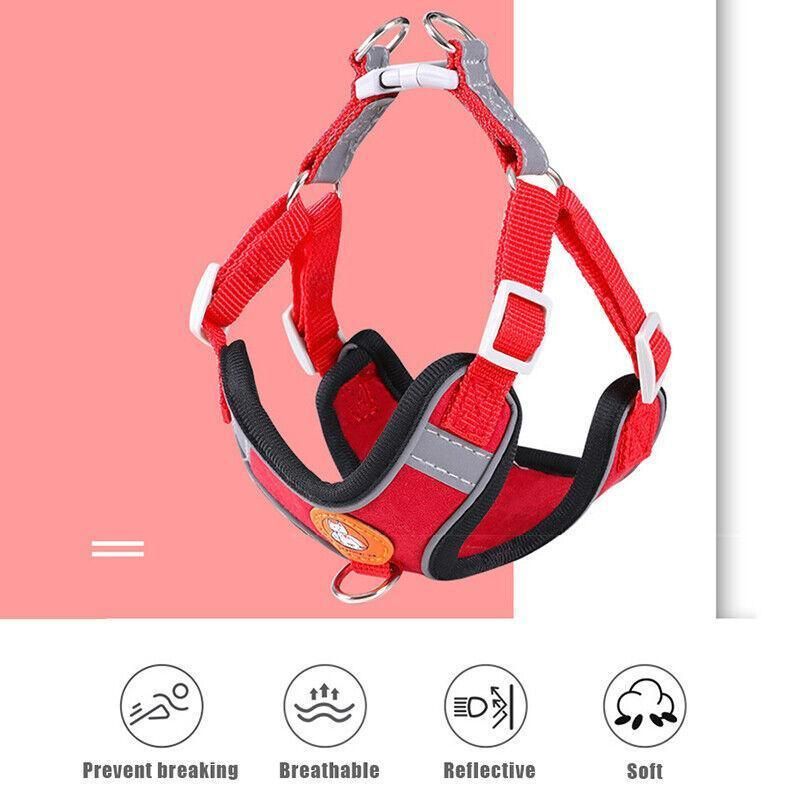 Dog Harness Cat Lead Puppy Leash Vest Mesh Breathe Adjustable Braces Small Pet Orange - XXS