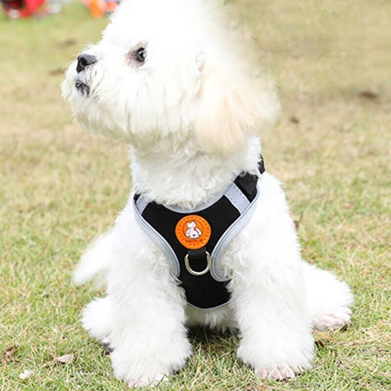 Dog Harness Cat Lead Puppy Leash Vest Mesh Breathe Adjustable Braces Small Pet Orange - XXXS
