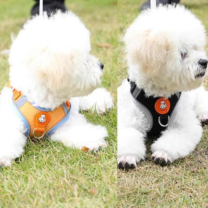 Dog Harness Cat Lead Puppy Leash Vest Mesh Breathe Adjustable Braces Small Pet Orange - XS