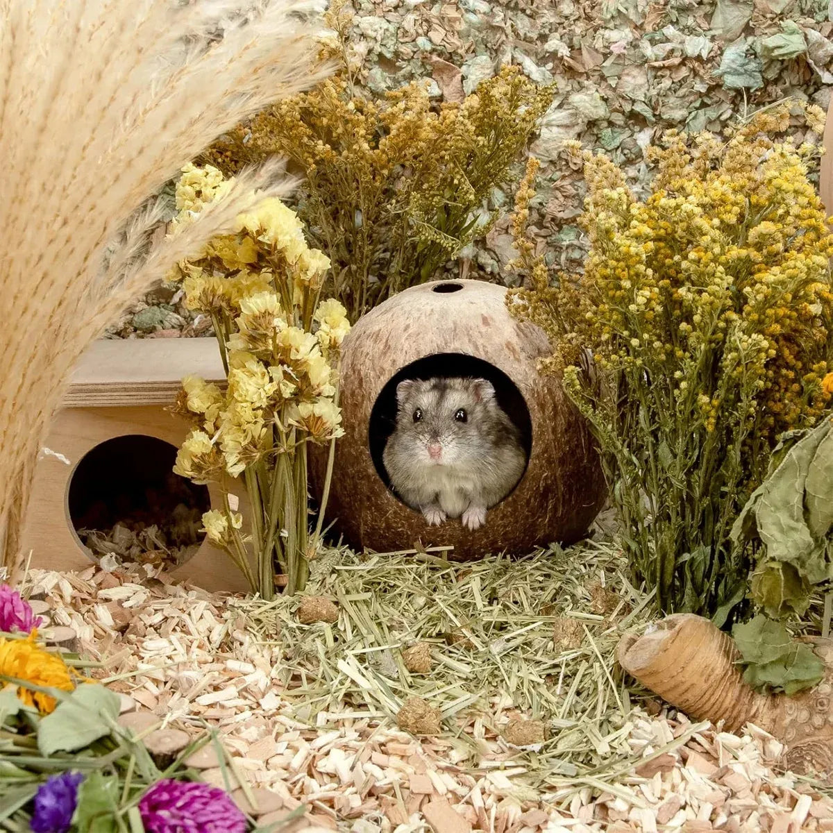 Coconut Hamster Toy Supplies Equipment Nest Warm Winter Space Saving Durable