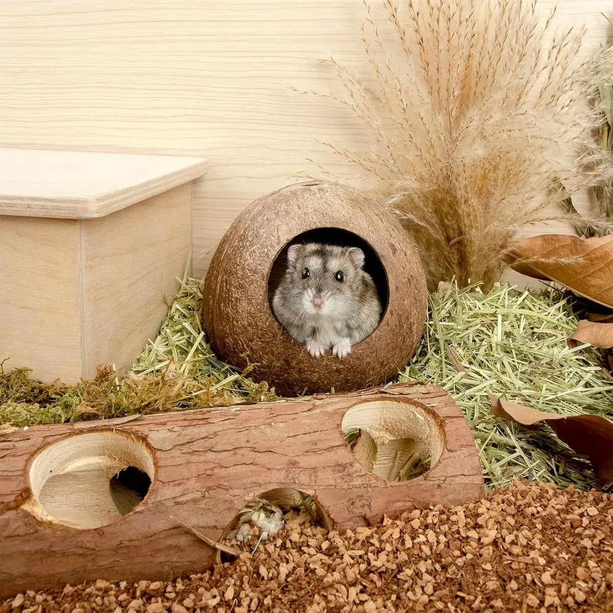 Coconut Hamster Toy Supplies Equipment Nest Warm Winter Space Saving Durable