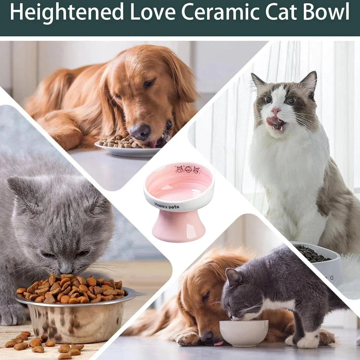 Tall Raised Ceramic Pet Bowl for Cats and Small Dogs in Blue or Pink - Blue