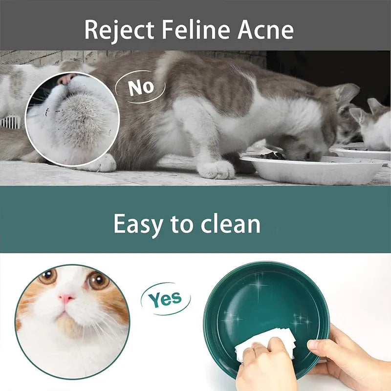 Ceramic Pet Bowl Double Cat Food Bowl Dog Water Bowl Feeding Drinking Bowl Set - White