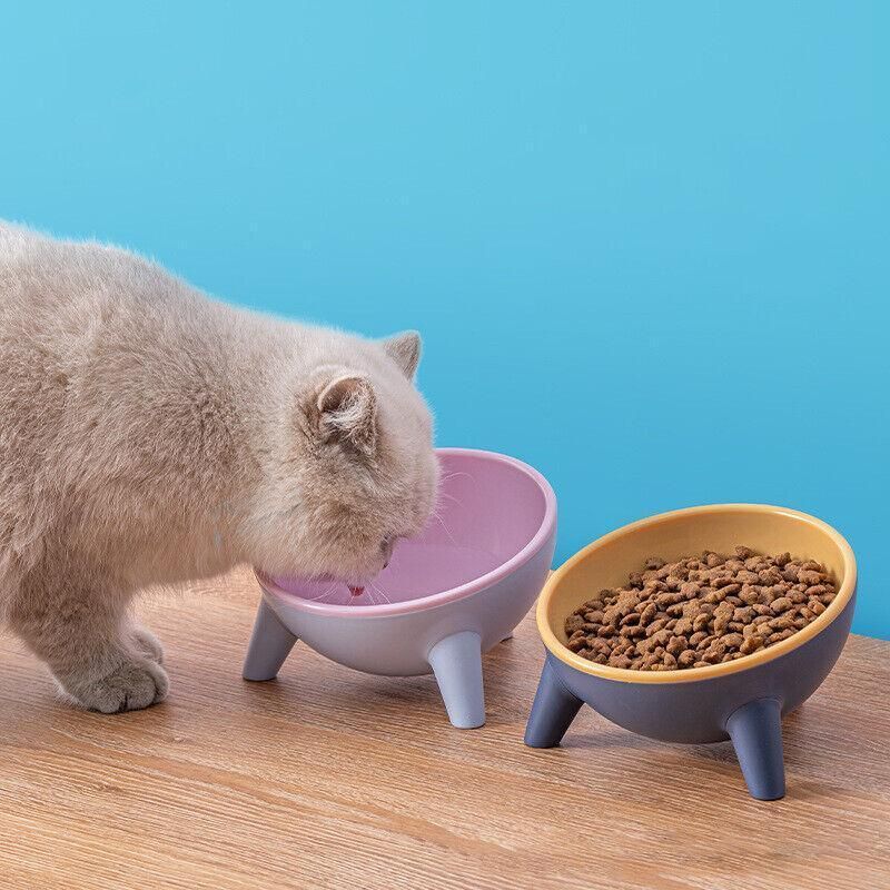 Raised Cat Bowl Pet Feeder Pet Bowl Elevated Dog Bowls 15Â° Tilted Pet Water Bowl - Rock Yellow