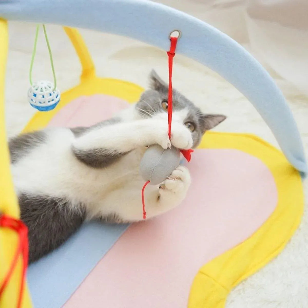 Breathable Pet Hammock Cat Bed with Fun Cartoon Bell Toy Cat Tent Supplies - Small Butterfly