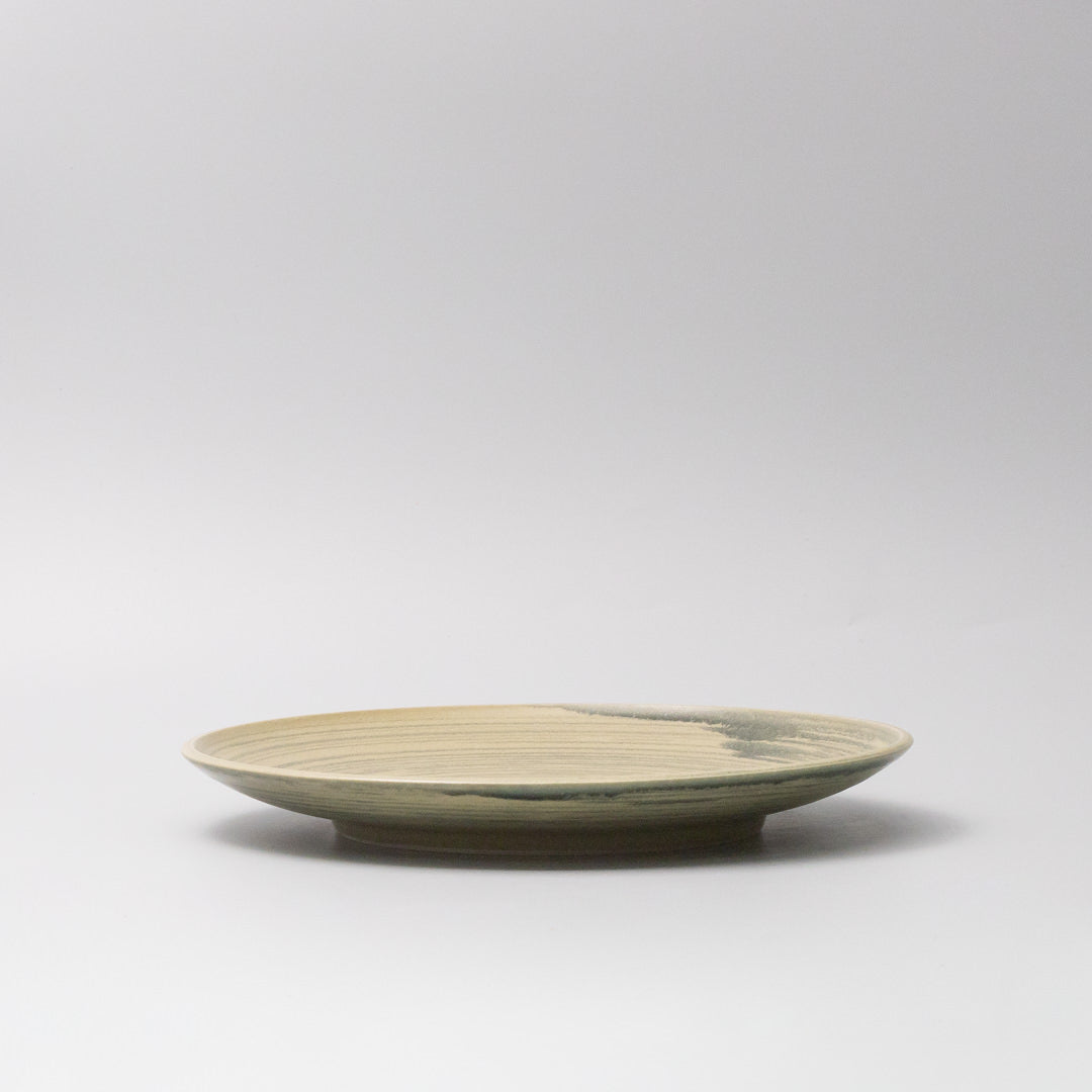 Dinner Plate 26cm Washed Fern