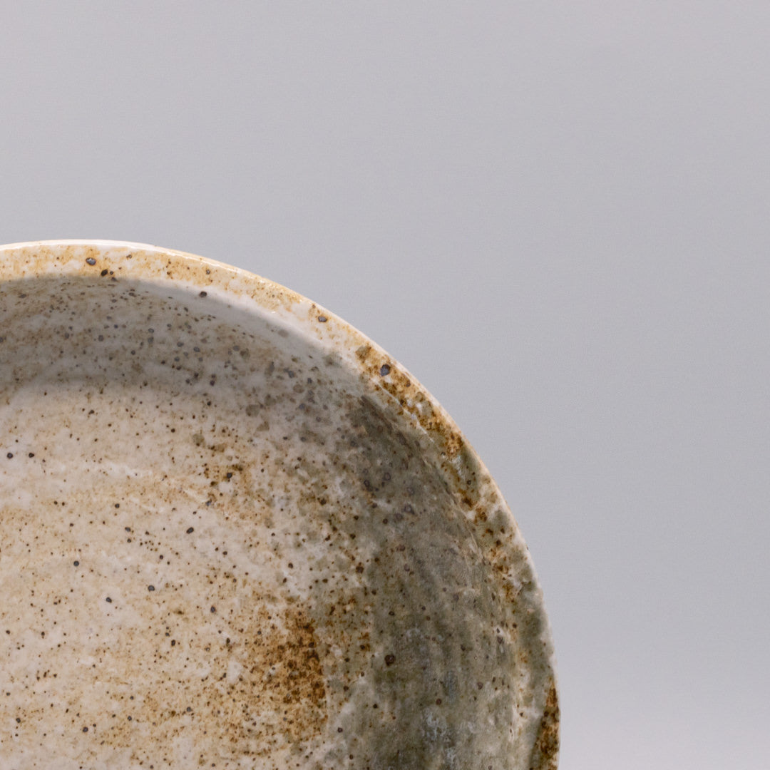 Plate Thick Edge 25cm Snow Bamboo Glaze