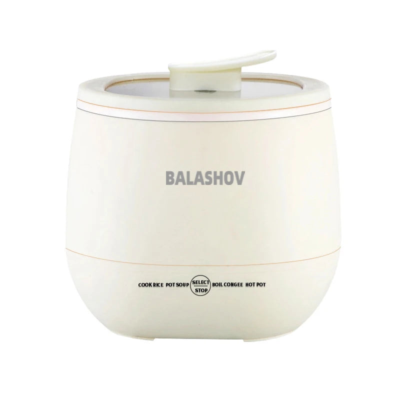 nneoba-1-8l-multifunctional-electric-mini-rice-cooker